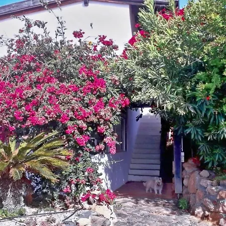 Prázdninový dům Casa Azul, Arico Viejo - Baden, Wandern, Klettern, Individualurlaub Jenseits Des Massentourismus, La Sabinita