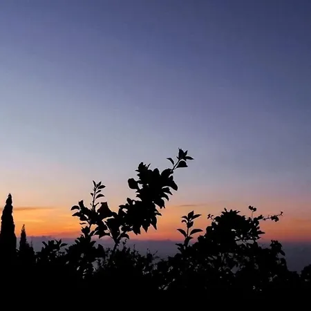 Casa Azul, Arico Viejo - Baden, Wandern, Klettern, Individualurlaub Jenseits Des Massentourismus, דירה *