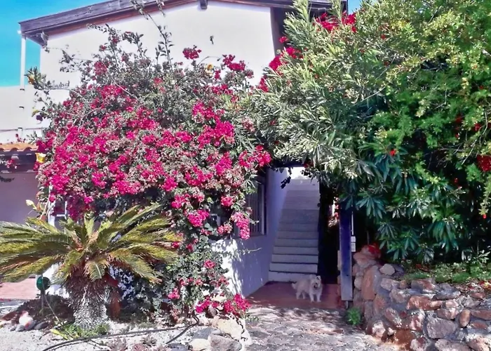 Semesterbostad Casa Azul, Arico Viejo - Baden, Wandern, Klettern, Individualurlaub Jenseits Des Massentourismus, La Sabinita