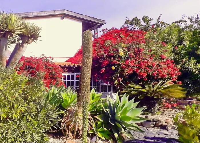 Semesterbostad Casa Azul, Arico Viejo - Baden, Wandern, Klettern, Individualurlaub Jenseits Des Massentourismus, La Sabinita