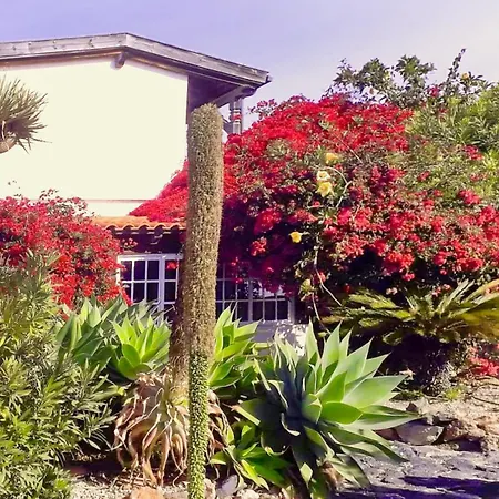 Semesterbostad Casa Azul, Arico Viejo - Baden, Wandern, Klettern, Individualurlaub Jenseits Des Massentourismus, La Sabinita