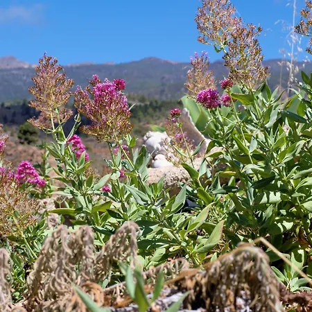 Semesterbostad Casa Azul, Arico Viejo - Baden, Wandern, Klettern, Individualurlaub Jenseits Des Massentourismus,