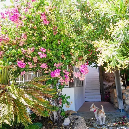 Casa Azul, Arico Viejo - Baden, Wandern, Klettern, Individualurlaub Jenseits Des Massentourismus, Semesterbostad *