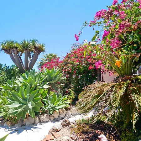 Casa Azul, Arico Viejo - Baden, Wandern, Klettern, Individualurlaub Jenseits Des Massentourismus, Semesterbostad *